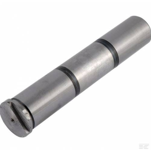 SWORZEŃ OSI OKRĄGŁEJ