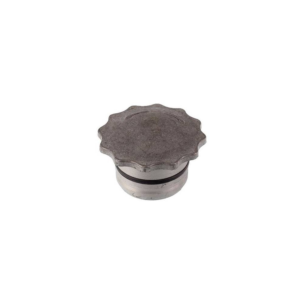 KOREK WLEWU OLEJU MTZ 25005 A1901001