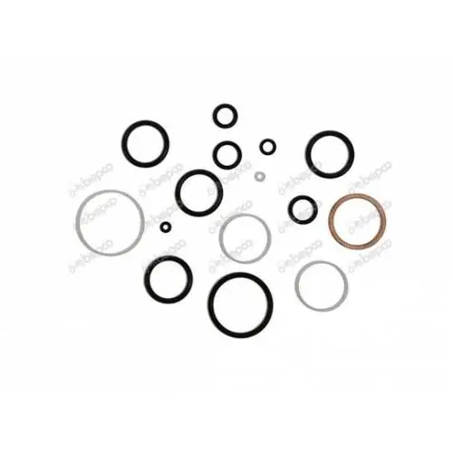 ZESTAW USZCZELEK ROZDZIELACZA CASE