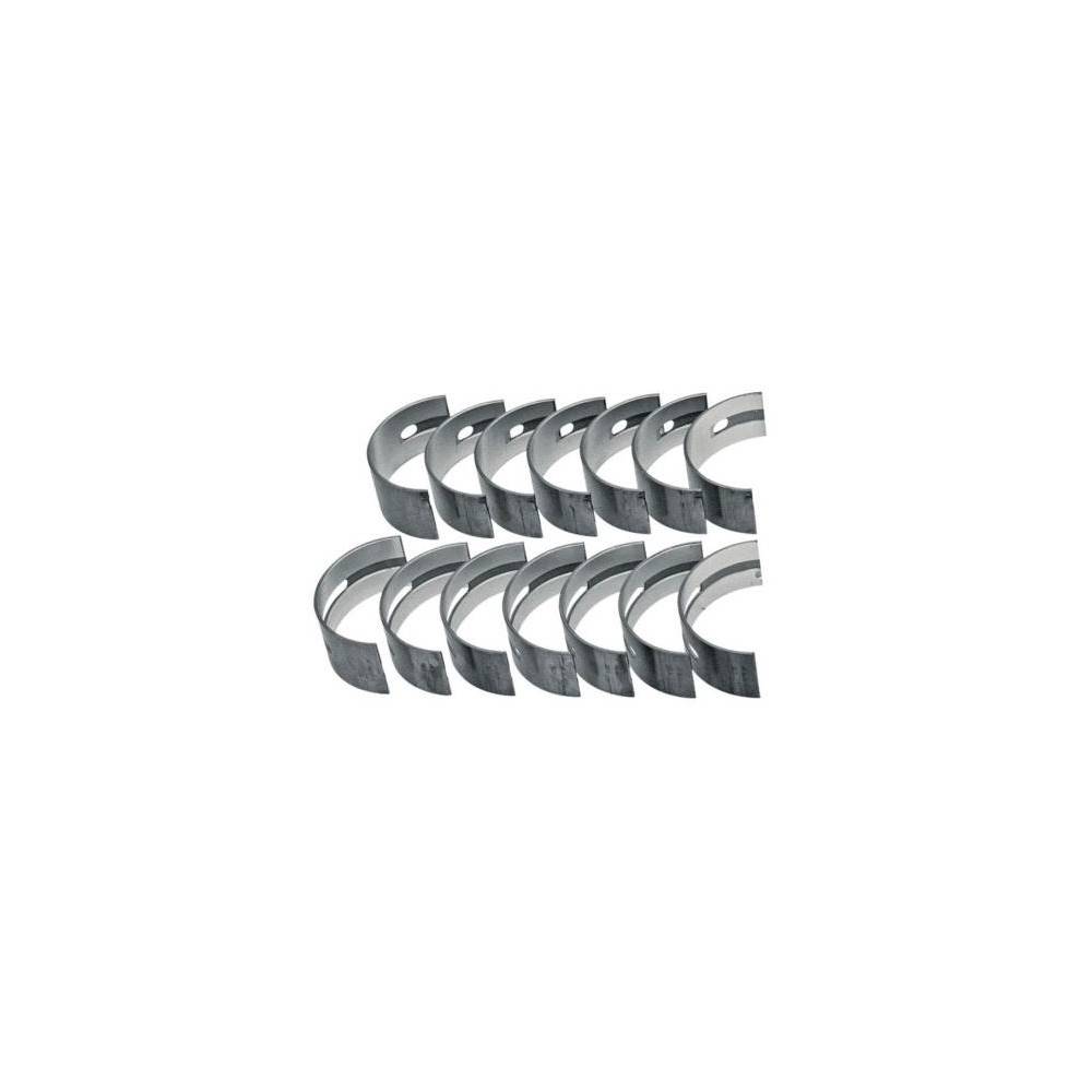 KOMPLET PANEWEK GŁÓWNYCH 6-CYL 0,25 736930M91