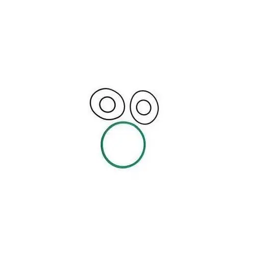 ZESTAW USZCZELEK FILTRA  DUŻEGO Z ZAWOREM 