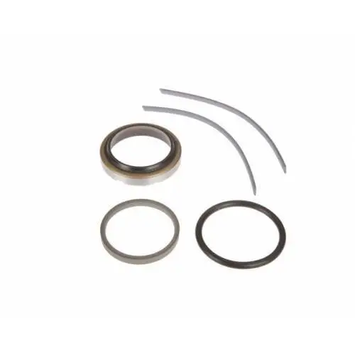 Zestaw naprawczy wycisku sprzęgła 3900423M91 