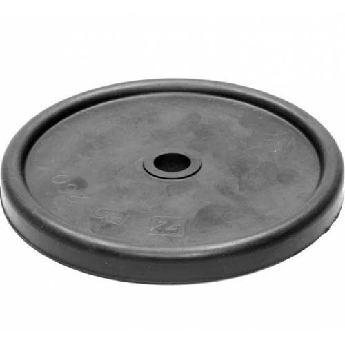 MEMBRANA BOCZNA POMPY OPRYSKIWACZA RO260 