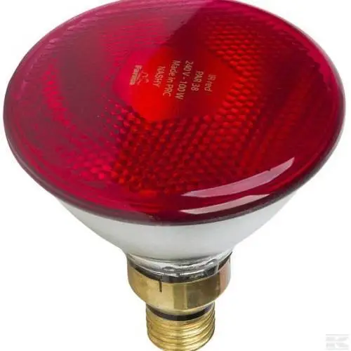 PROMIENNIK 175 W PAR CZERWONY 