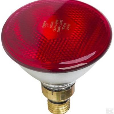 PROMIENNIK 175 W PAR CZERWONY 