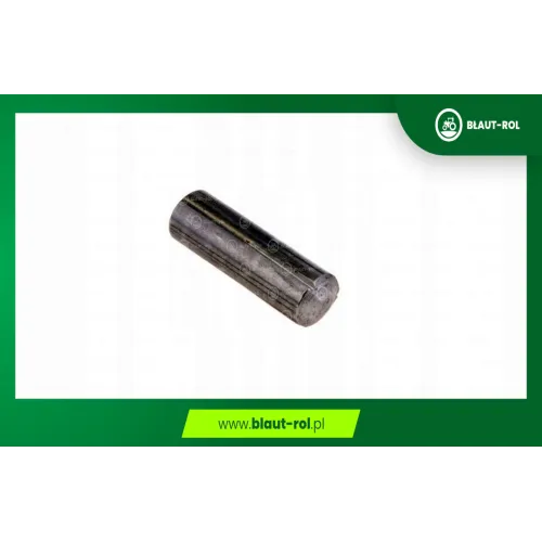 Kołek walcowy 6x20mm sieczkarni CLAAS 244532