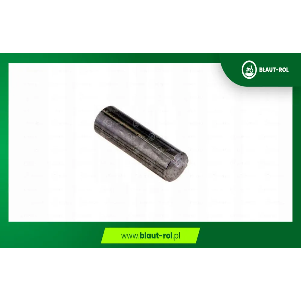 Kołek walcowy 6x20mm sieczkarni CLAAS 244532