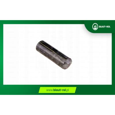 Kołek walcowy 6x20mm sieczkarni CLAAS 244532