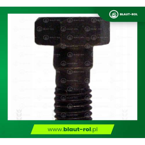 Śruba pokrywy bocznej bloku URSUS C-360 50402200