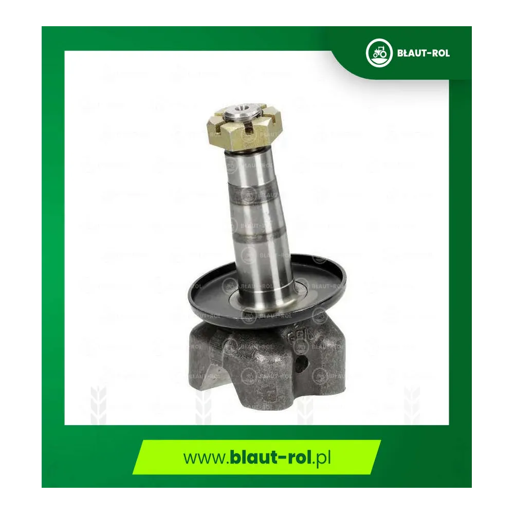 Czop zwrotnicy osi 600x16 URSUS C330 C360 42272210