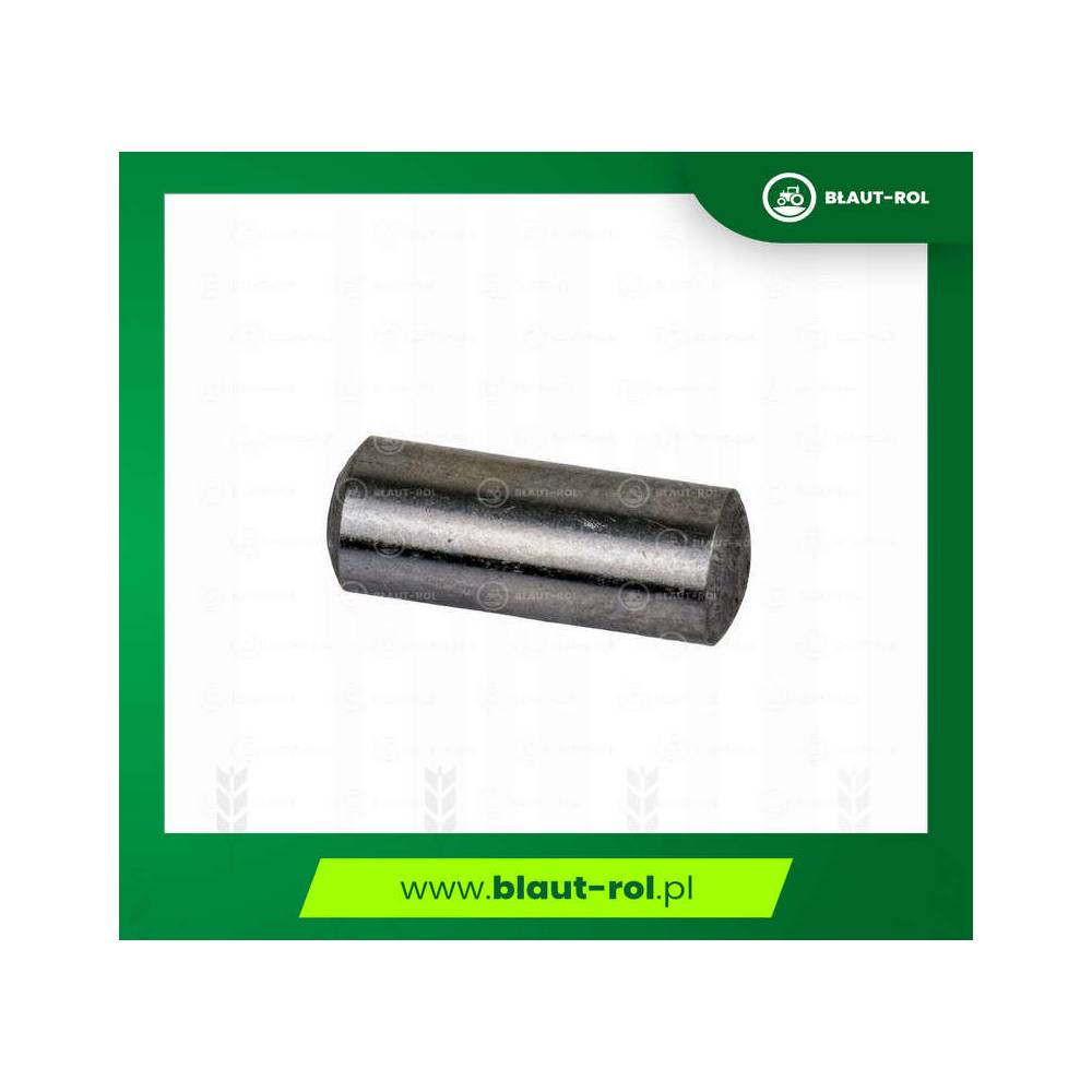 Kołek walcowy wspornika dźwigni zaworowej C-360