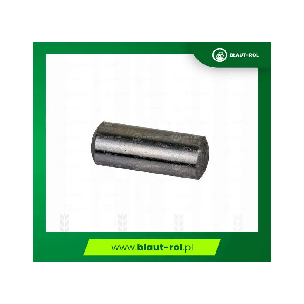 Kołek walcowy wspornika dźwigni zaworowej C-360