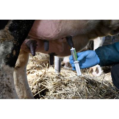 Preparat ochronny wymienia DuoMast C 23ml Canagri