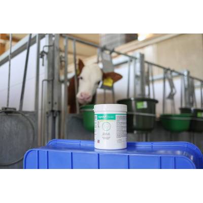 Preparat elektrolitowy dla cieląt Agrolyt 1kg